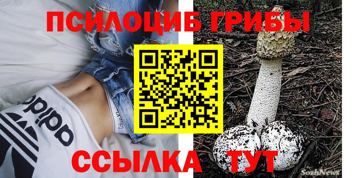 Псилоцибиновые грибы MAGIC MUSHROOMS Киселёвск